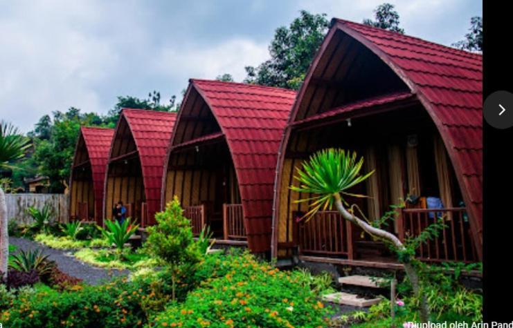 Kintamani Cabins Ngoại thất bức ảnh